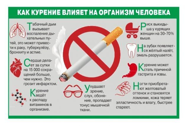 Всемирный день без табака